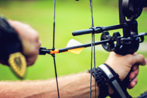 Compound Bow